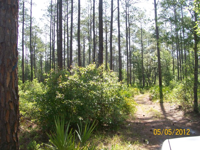 2012-May-05_HGR4X4_Richloam 183